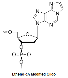 Bio-Synthesis Inc. Oligo Structure